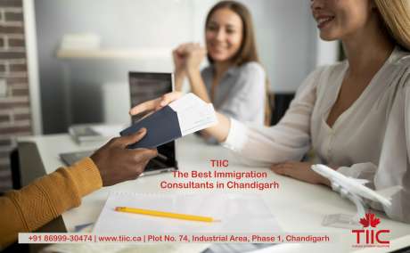 TIIC - Top Immigration Consultants in Chandigarh for Canada